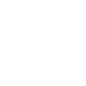 International Brotherhood of Electrical Workers